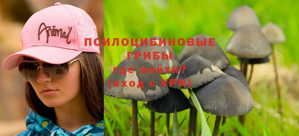 шишки Усинск