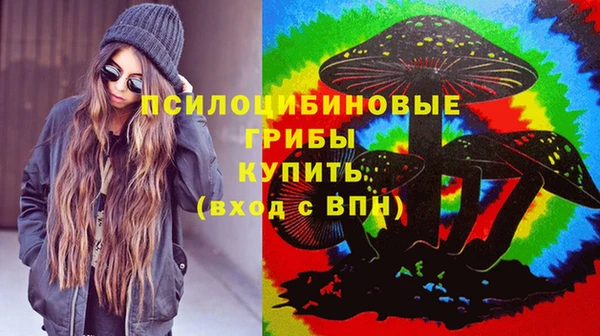 шишки Усинск