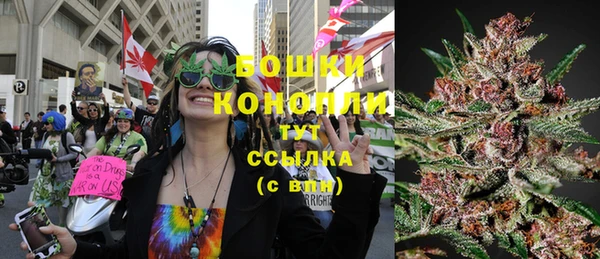 шишки Усинск