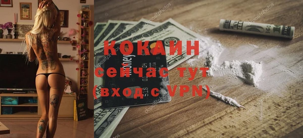 шишки Усинск