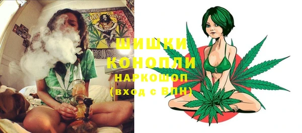шишки Усинск