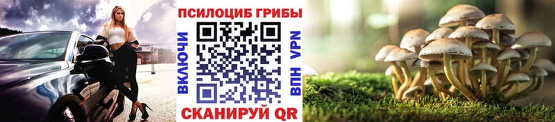 мега ссылки Новошахтинск Галлюциногенные грибы прущие грибы