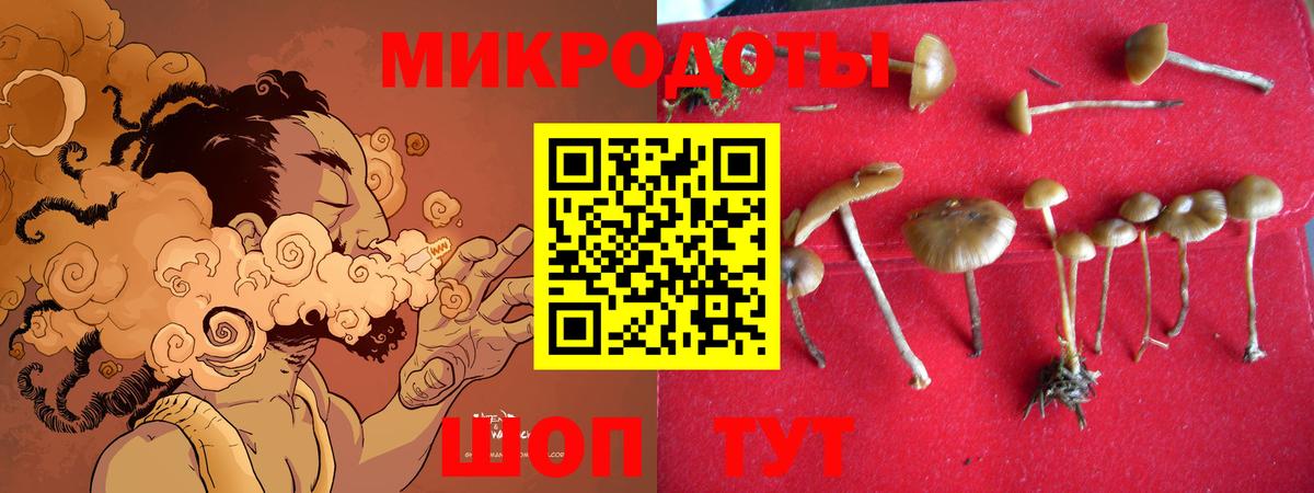 Псилоцибиновые грибы мухоморы  Галлюциногенные грибы GOLDEN TEACHER  Новошахтинск  Вход с VPN 