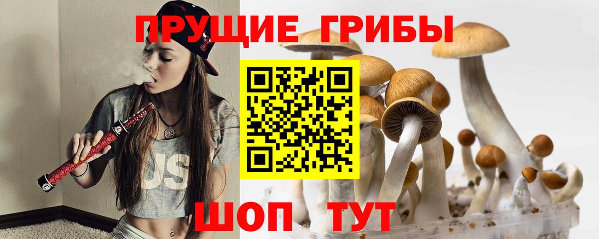 Галлюциногенные грибы Magic Shrooms Новошахтинск